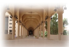 King Suud Üniversitesi 